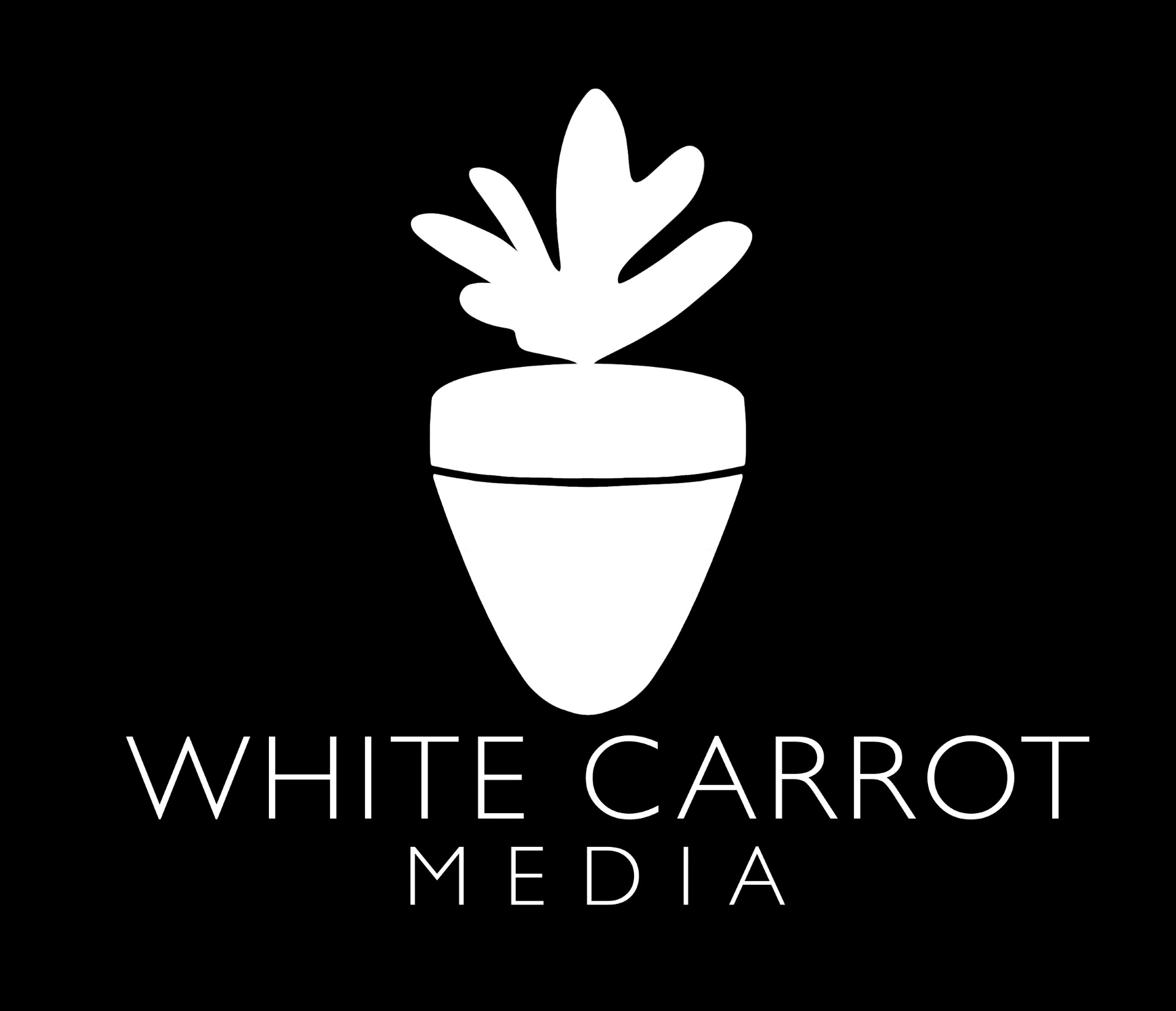Website Design Agency